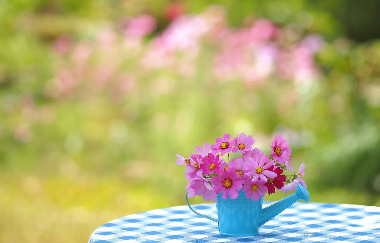 Photo wallpaper space, mood, lake, a bunch, tablecloth, bokeh, kosmeya