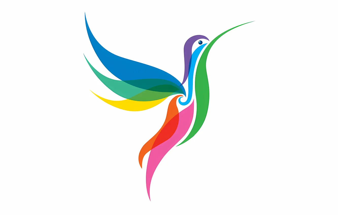 Photo wallpaper colorful, bird, Hummingbird, multicolor, stylized hummingbird, short tail