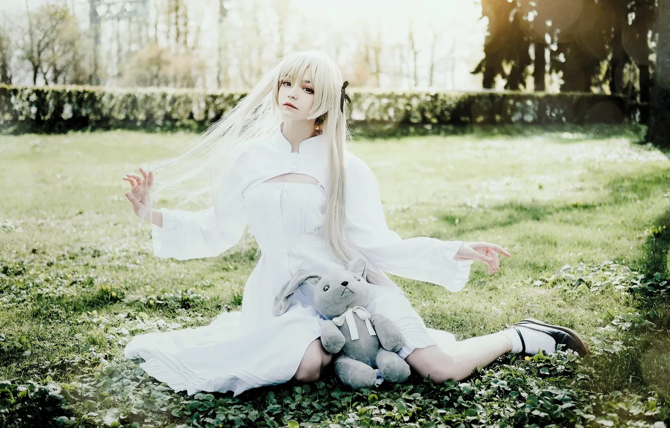 Photo wallpaper grass, trees, glade, toy, dress, bear, costume, outfit