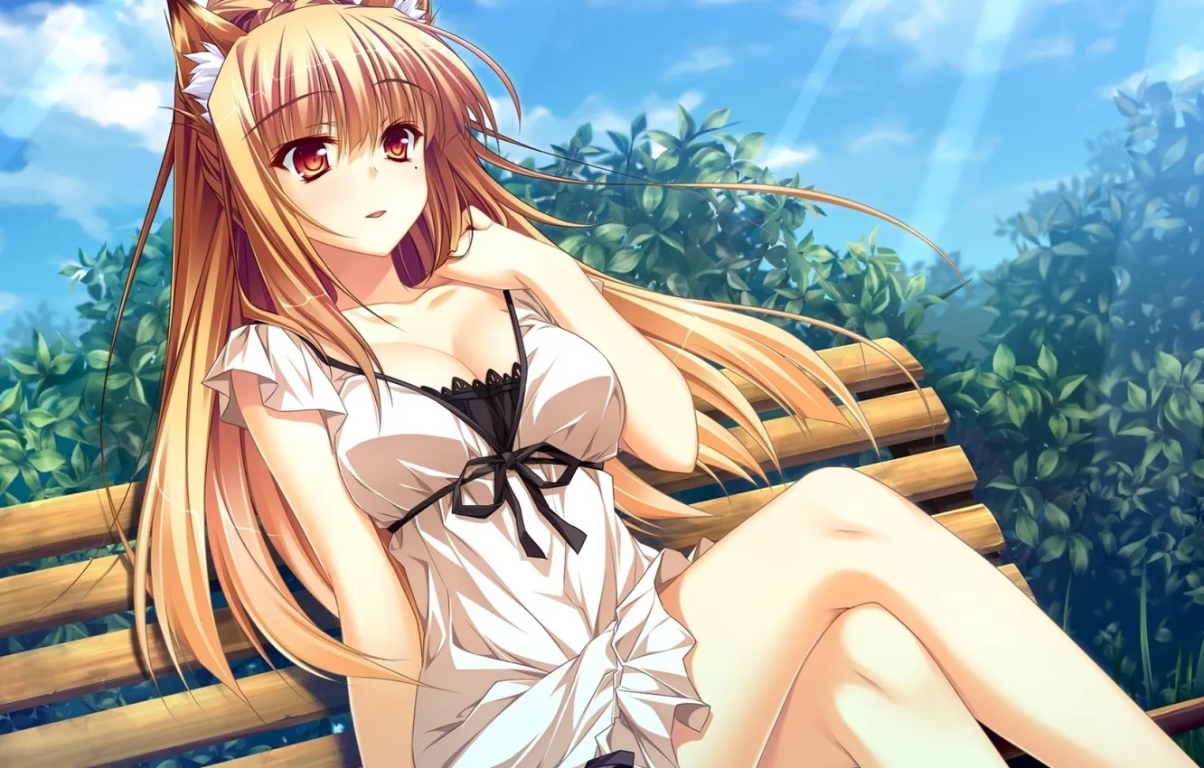 Photo wallpaper chest, girl, bench, Park, surprise, neckline, neko, sitting