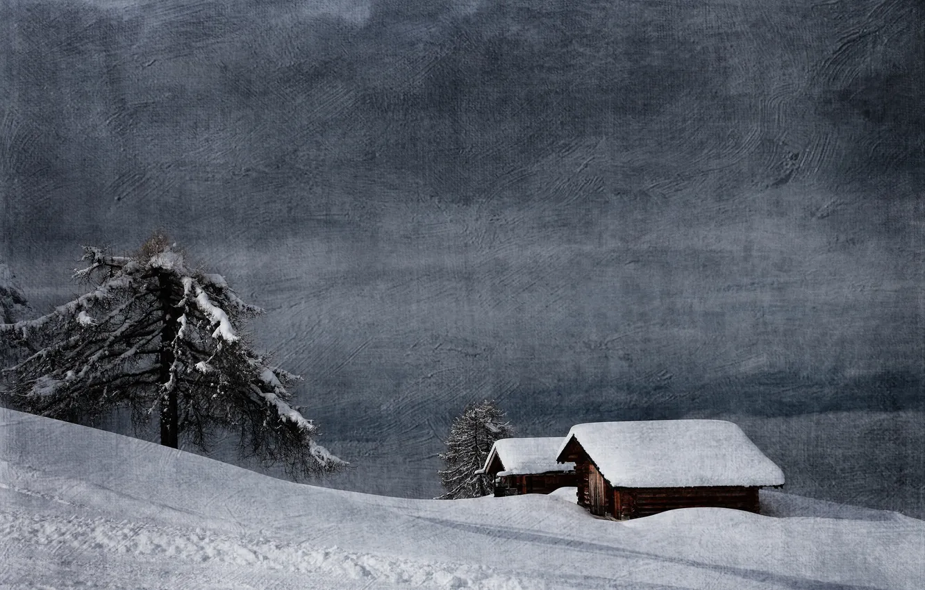 Photo wallpaper winter, trees, mountains, texture, Alps, Italy, hut