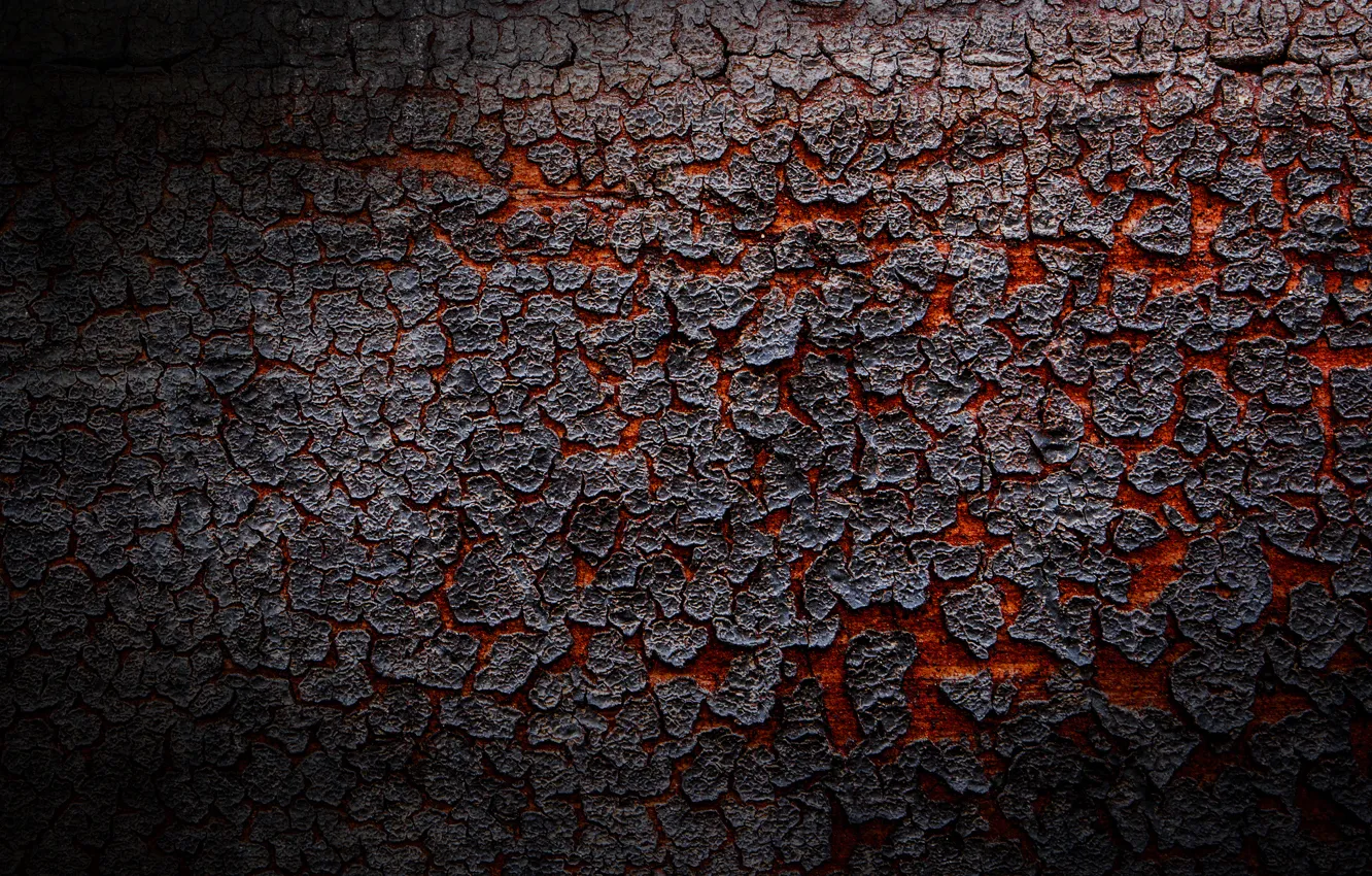Photo wallpaper texture, lava, bark