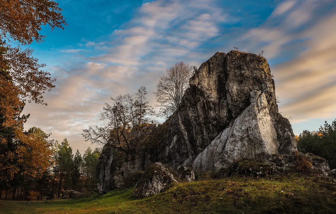Photo wallpaper autumn, the sky, clouds, trees, landscape, mountains, branches, nature