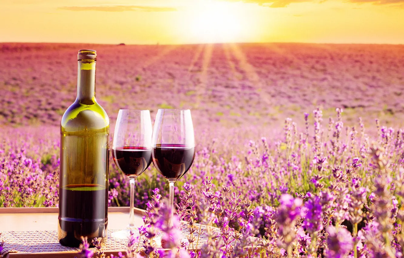 Photo wallpaper field, the sky, the sun, rays, landscape, flowers, wine, bottle