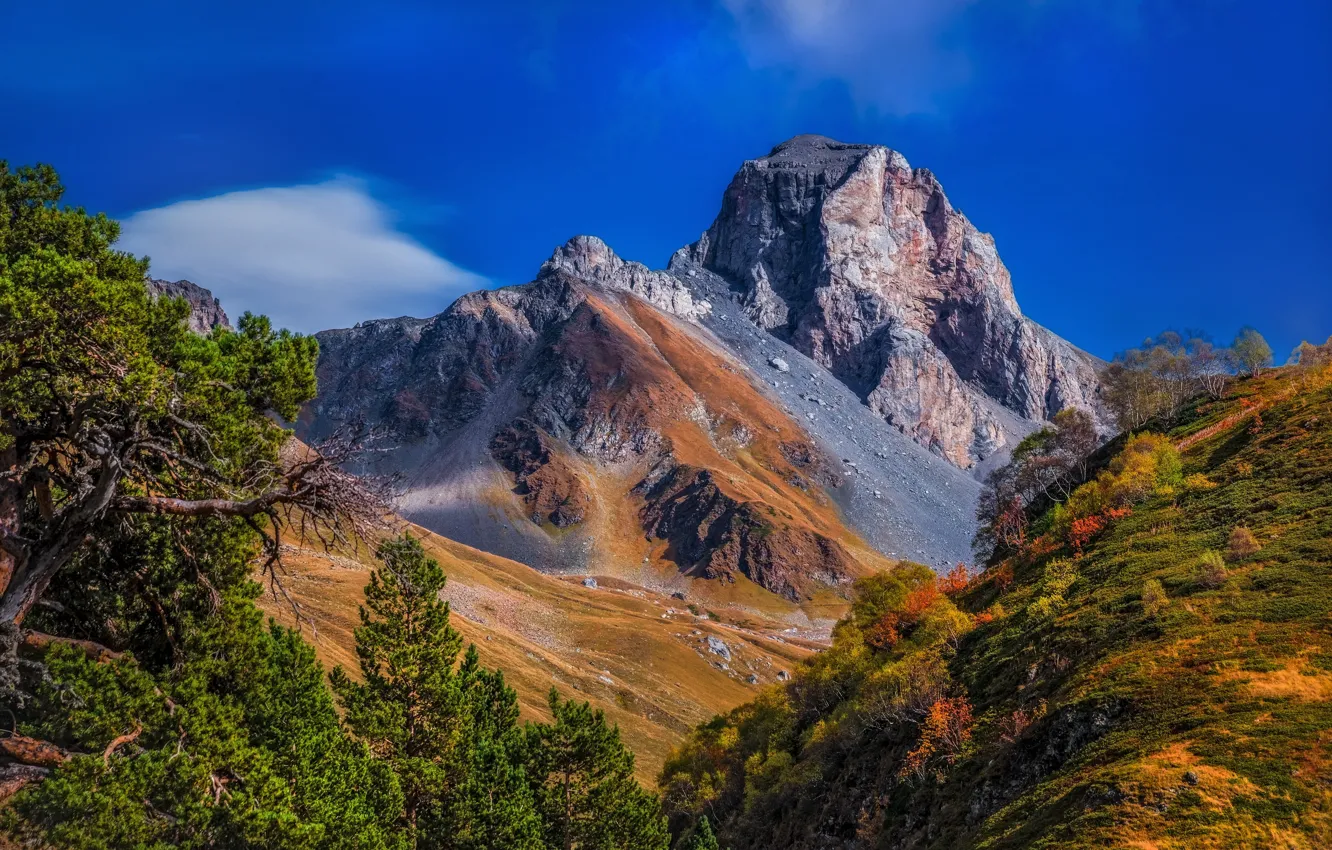 Photo wallpaper landscape, mountains, nature, vegetation, The Caucasus, Zahedan Scala
