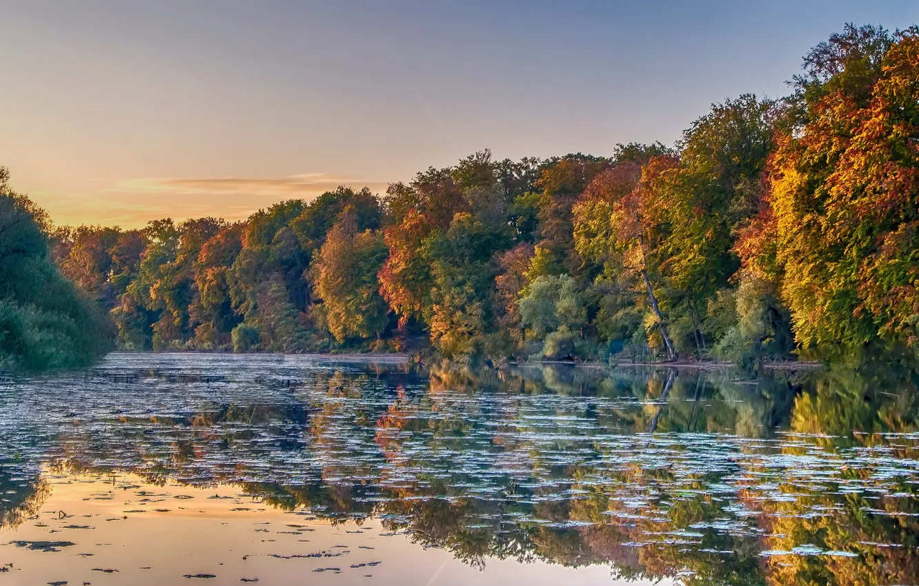 Photo wallpaper autumn, forest, trees, pond