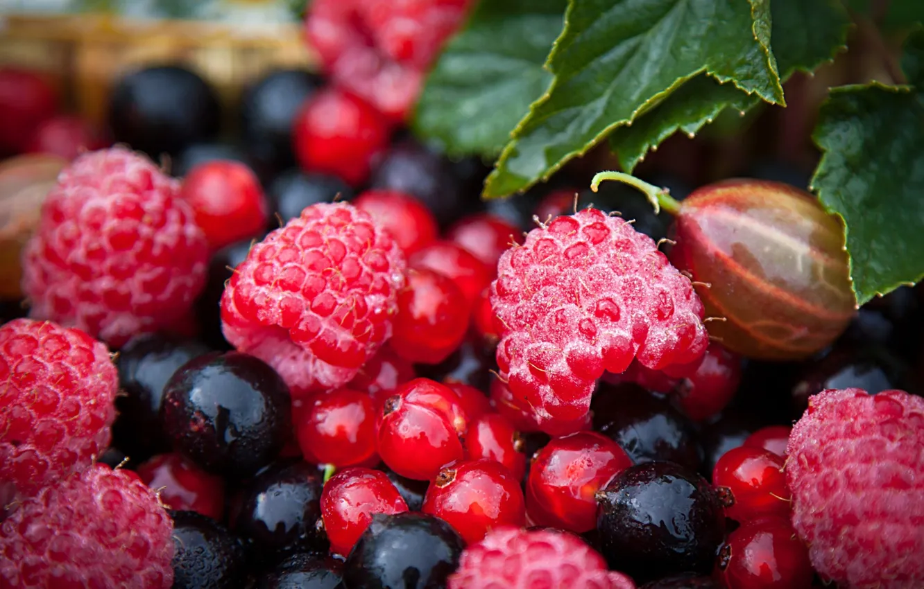 Photo wallpaper summer, berries, raspberry, strawberries, gooseberry, black currant