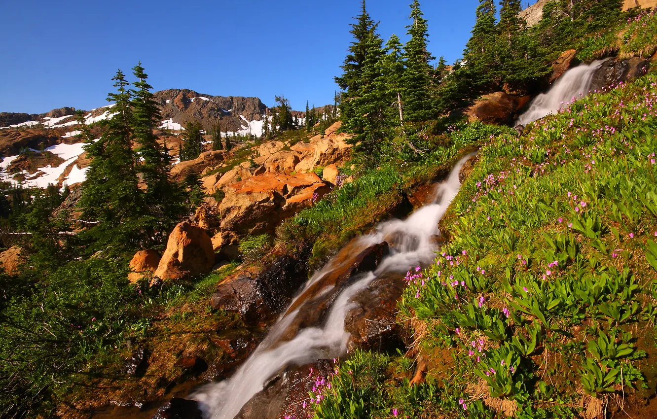 Photo wallpaper the sky, snow, trees, flowers, mountains, stream, stones, waterfall