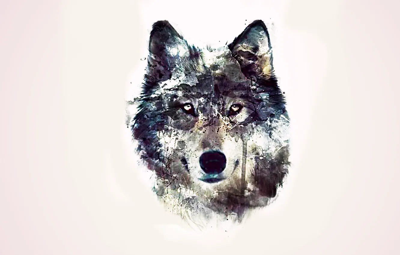 Photo wallpaper eyes, background, abstraction, wolf