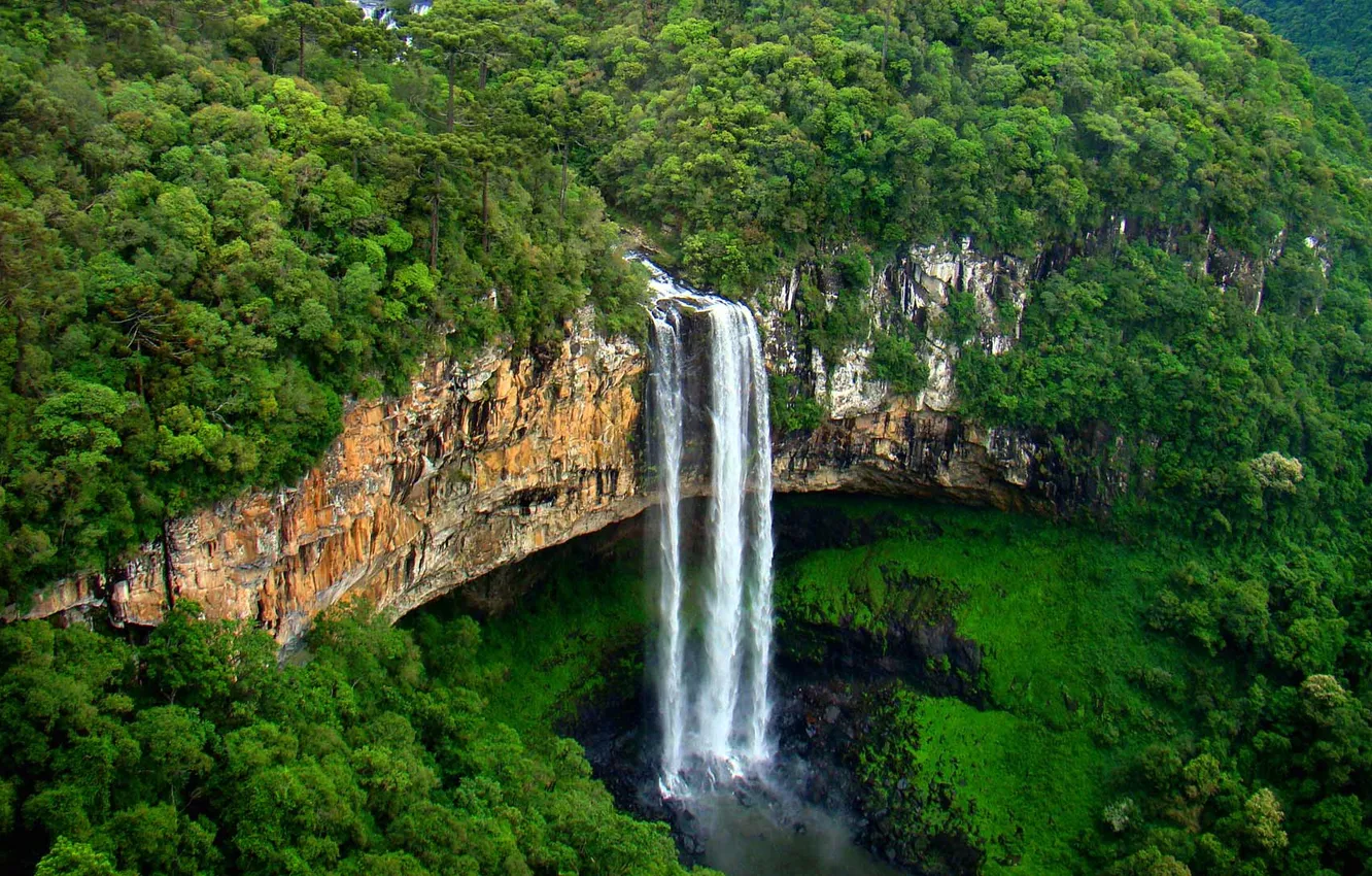 Photo wallpaper forest, trees, rock, open, stream, Brazil, the state of Rio Grande do Sul, Cascata do …