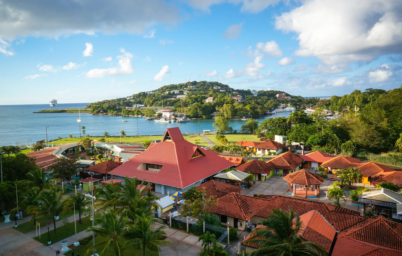 Photo wallpaper landscape, palm trees, coast, panorama, houses, The Caribbean sea, Saint Lucia, Saint Lucia