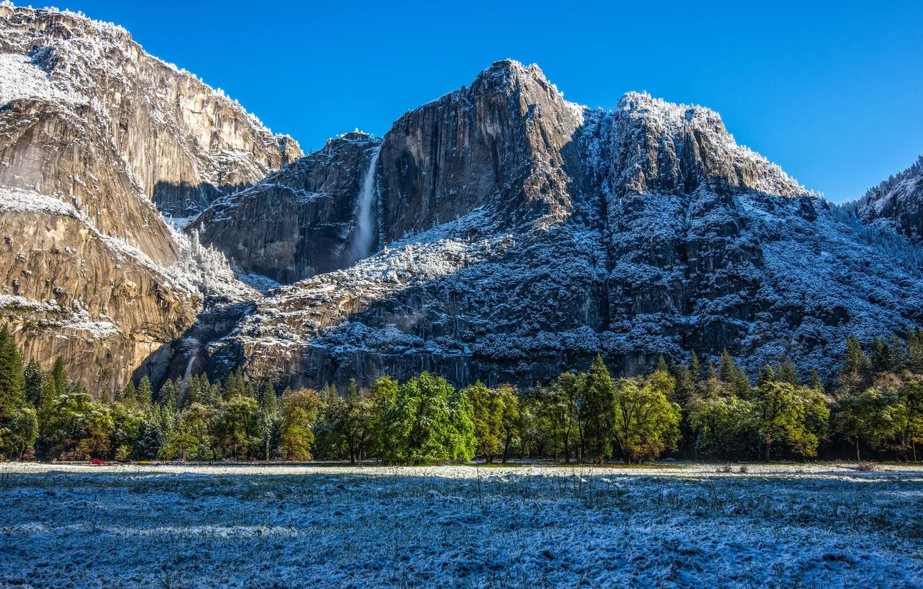 Photo wallpaper winter, forest, trees, valley, CA, California, Yosemite national Park, Yosemite National Park