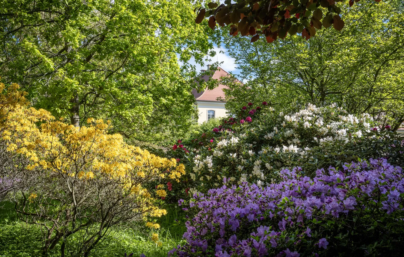 Photo wallpaper greens, light, flowers, branches, house, thickets, yellow, garden