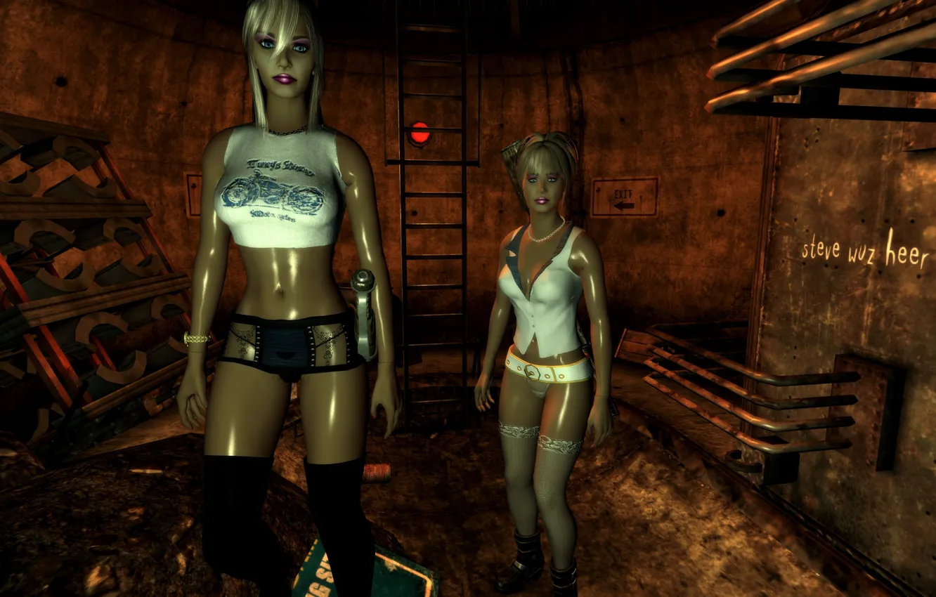 Photo wallpaper sexy, Fallout, Fallout New Vegas, companions, Ingame