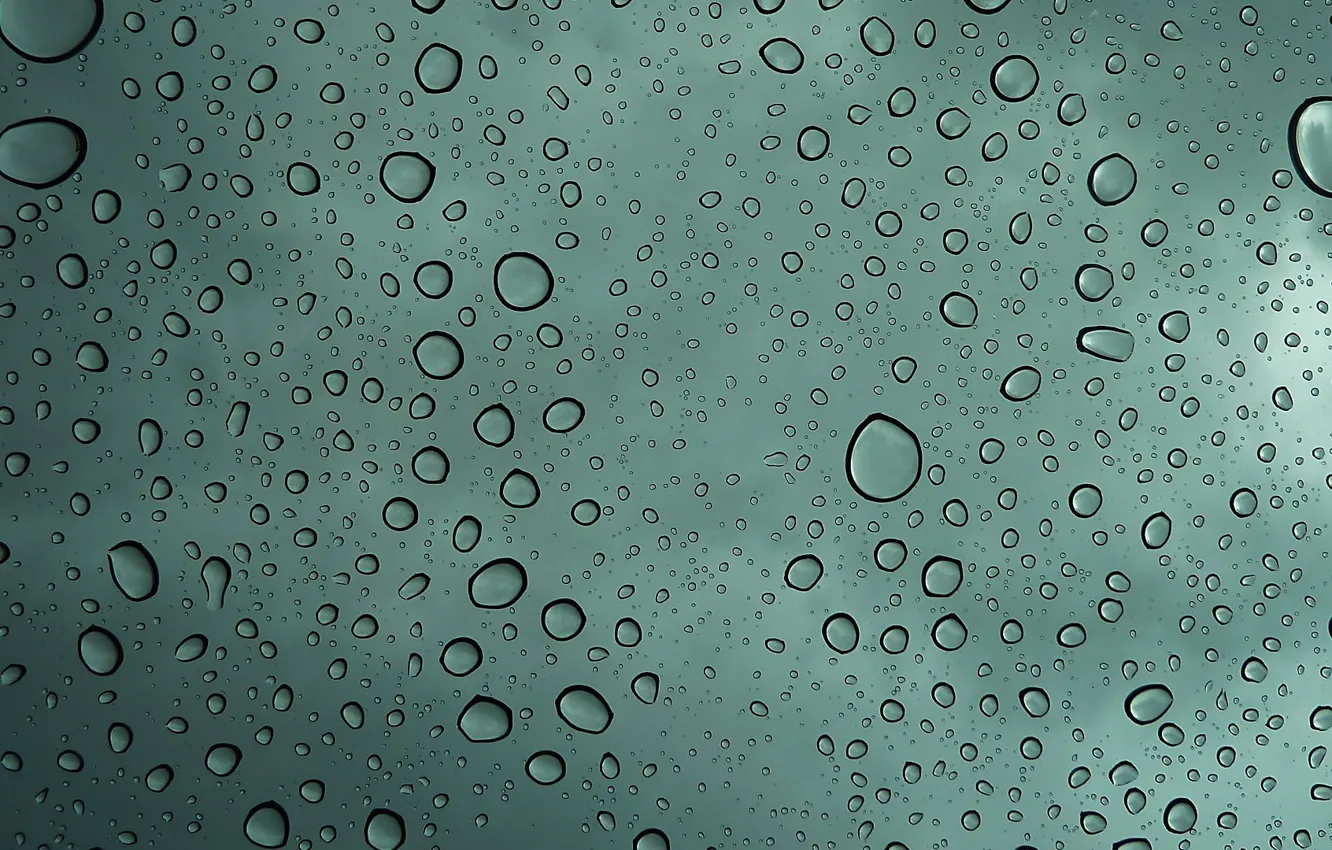Photo wallpaper water, rain, Drops