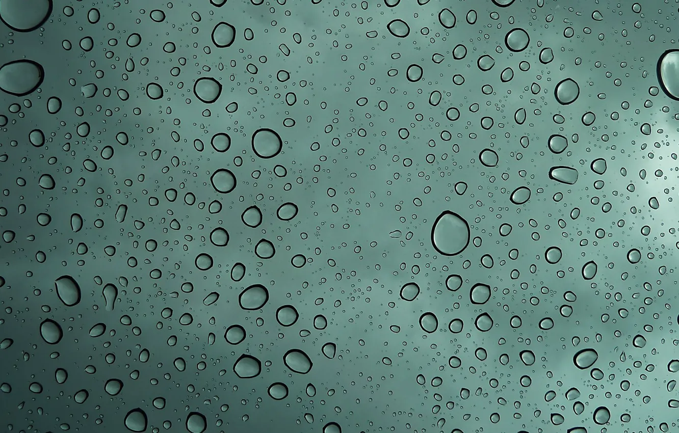 Photo wallpaper water, drops, rain
