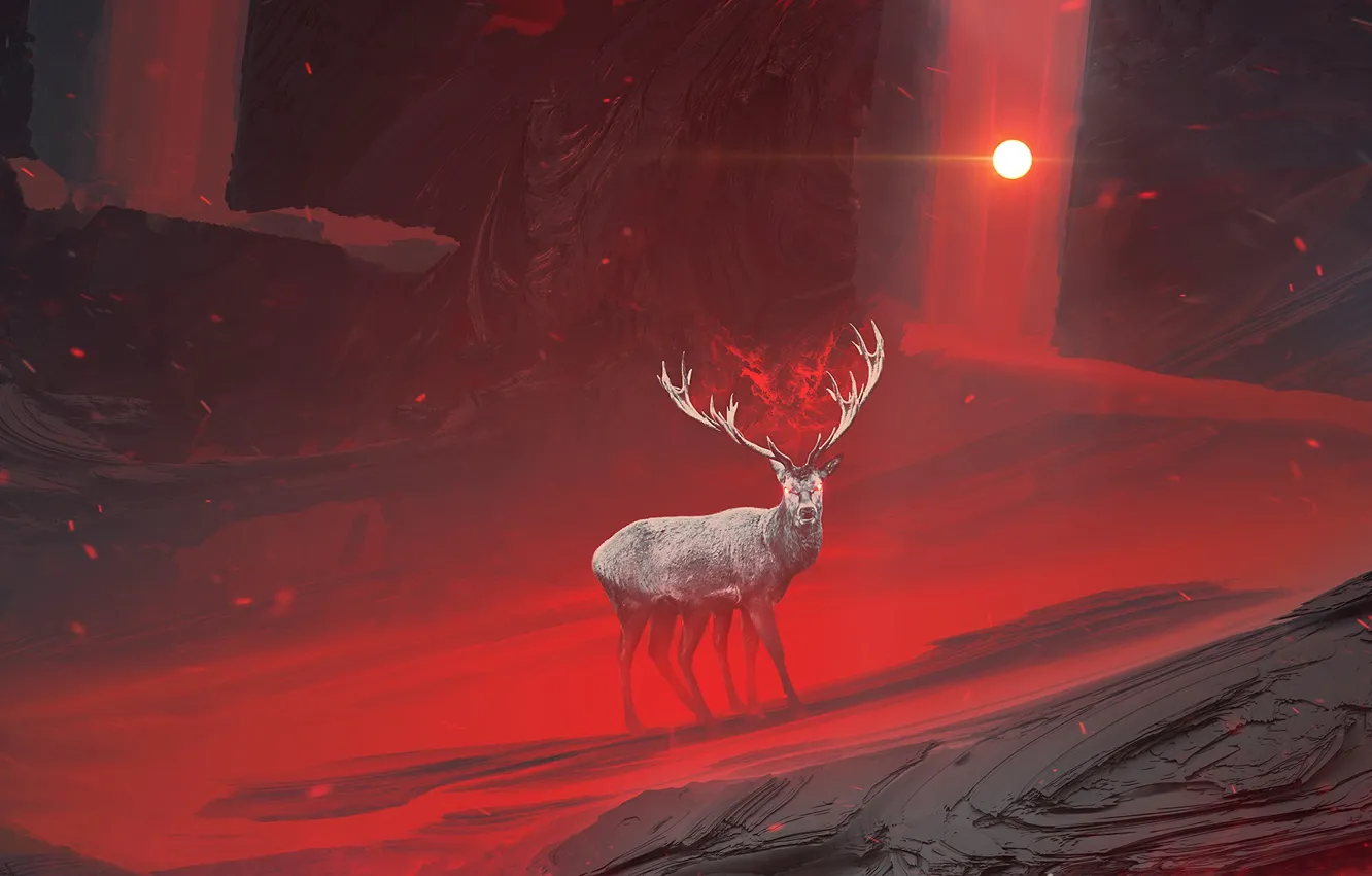 Photo wallpaper look, the sun, light, darkness, deer, horns