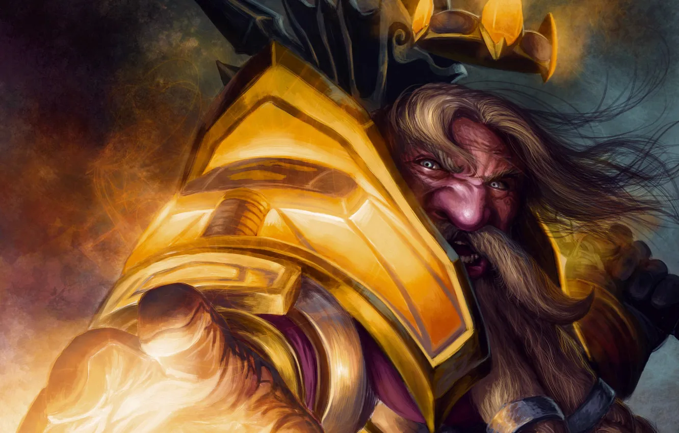 Photo wallpaper World of Warcraft, Dwarf, Paladin, Anger, Dwarf