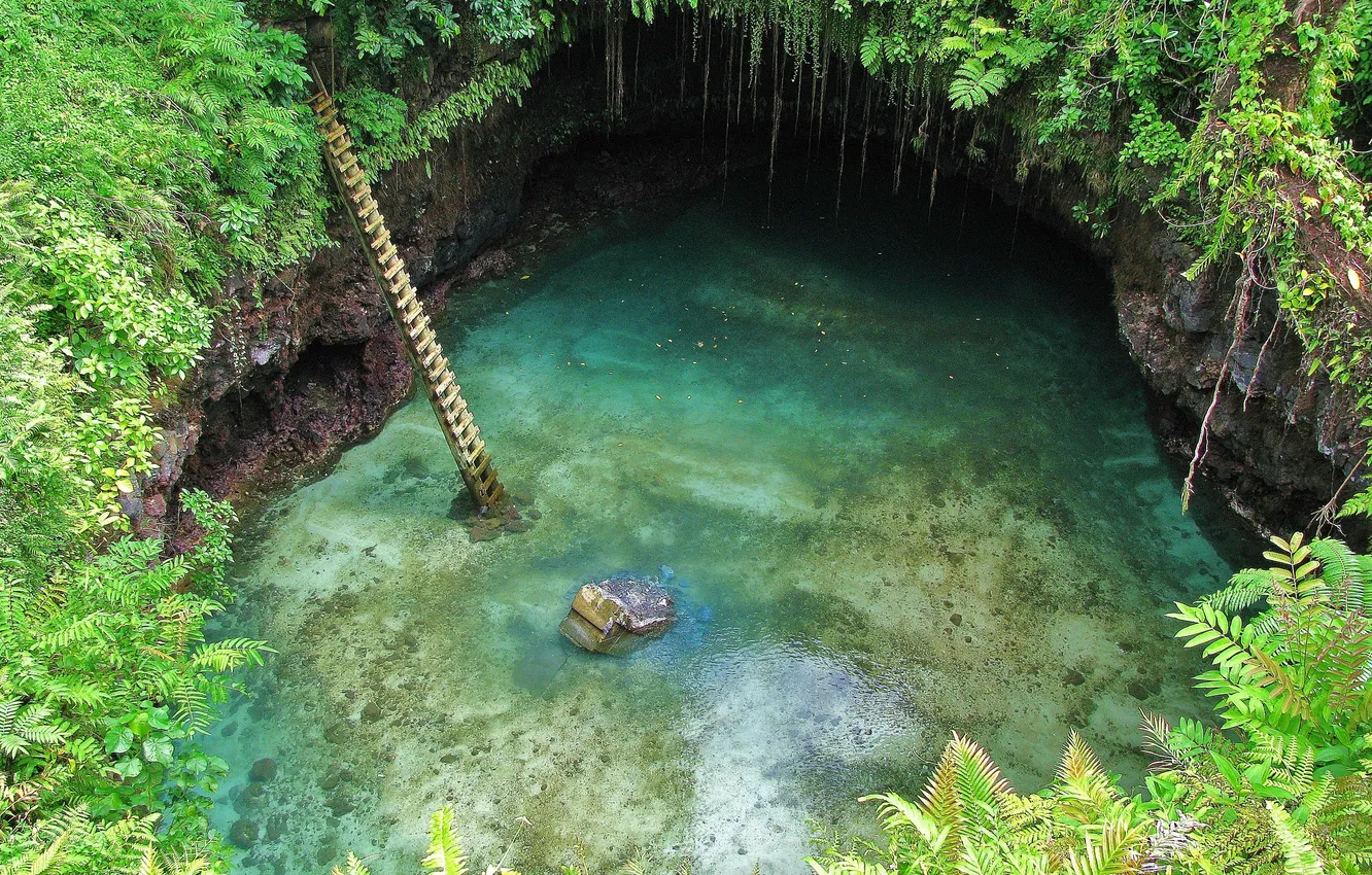 Photo wallpaper water, jungle, cave, beautiful