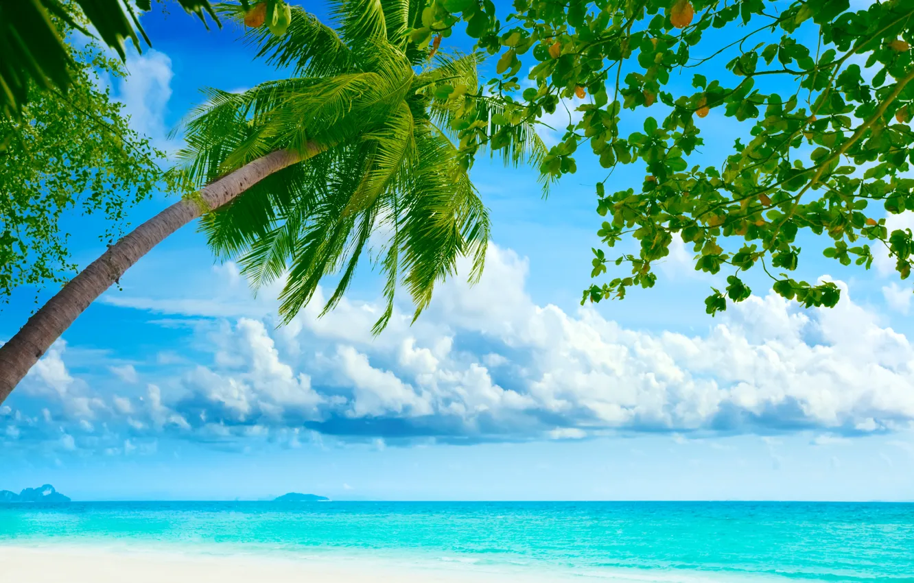 Photo wallpaper sea, beach, the sky, clouds, landscape, nature, palm trees, shore