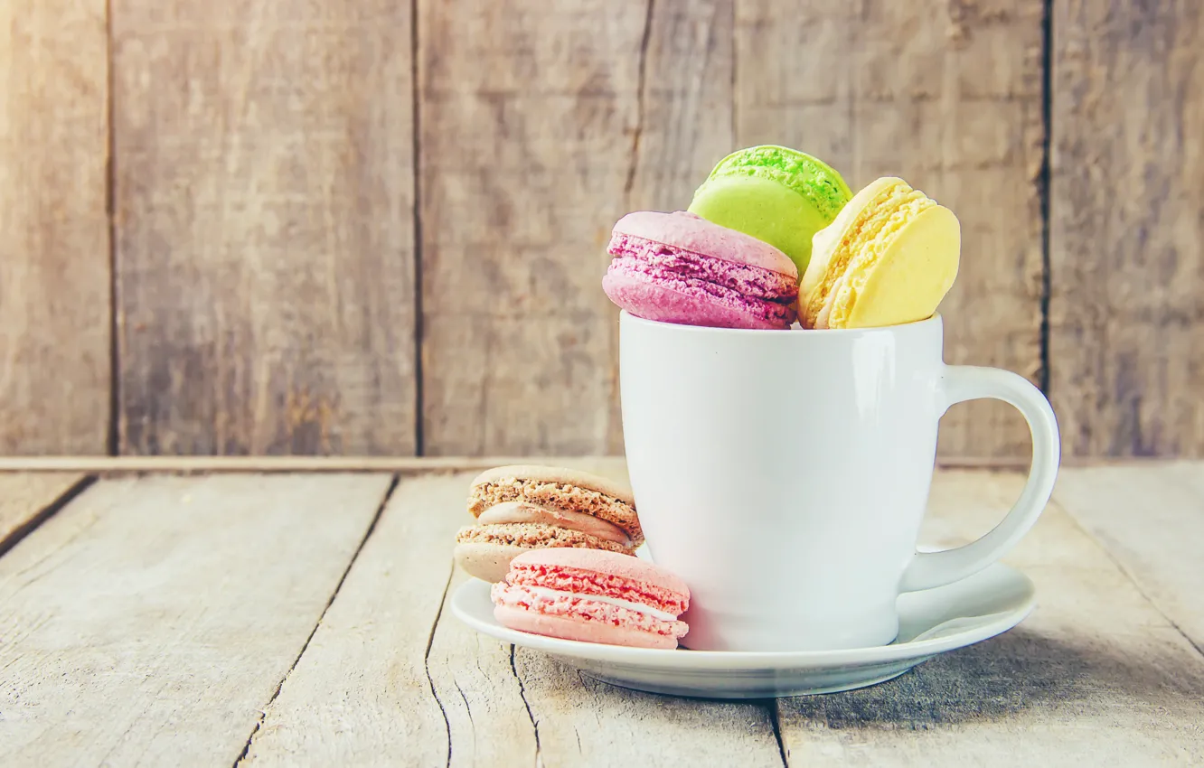 Photo wallpaper colorful, Cup, cup, french, macaron, macaroon