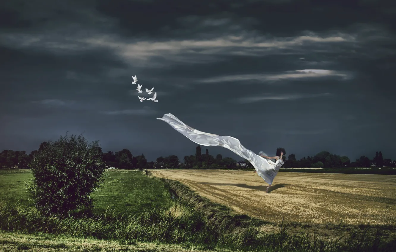 Photo wallpaper field, the sky, girl, birds, nature, pose, the wind