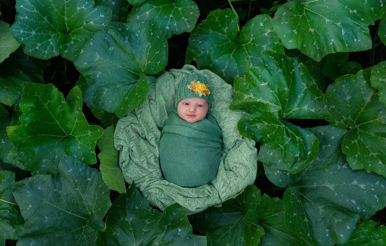 Photo wallpaper leaves, baby, child, baby, Ekaterina Gorokhova
