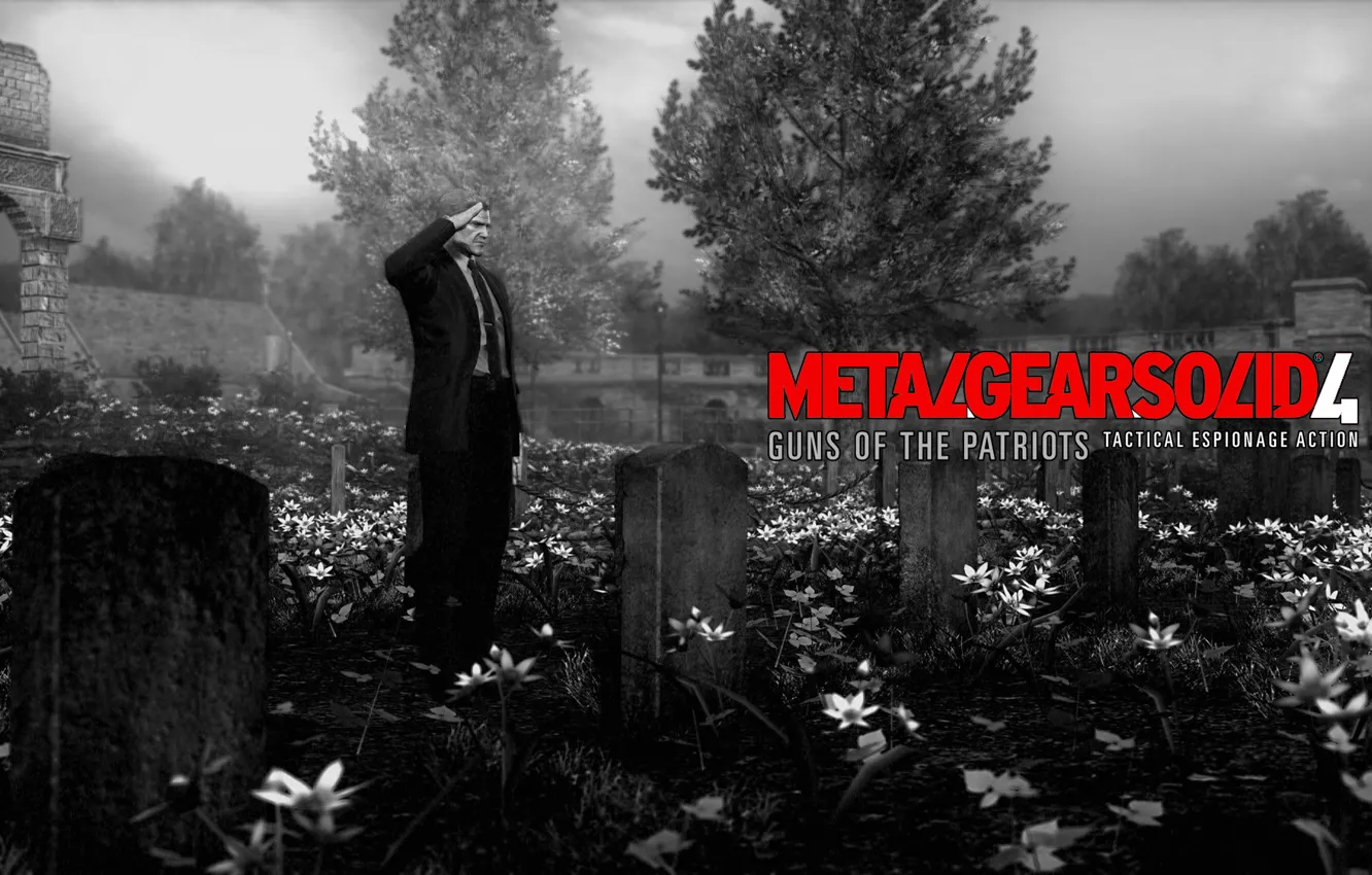 Photo wallpaper cemetery, Solid Snake, Old Snake, Guns of the Patriots, stealth-action, tombstone, Metal Gear Solid 4, …