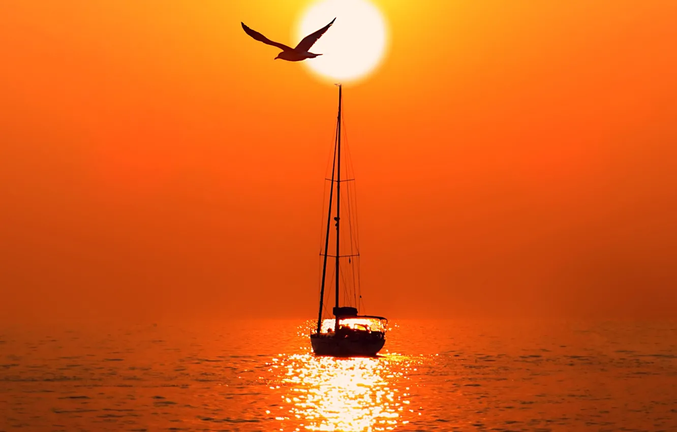 Photo wallpaper sea, the sun, seagulls, the evening, yacht