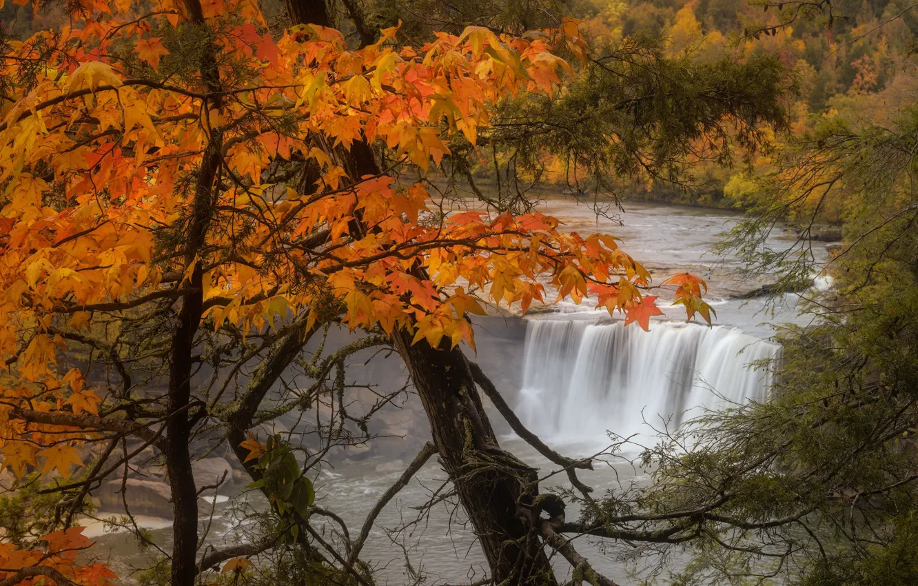 Photo wallpaper autumn, trees, landscape, nature, river, waterfall, USA, Kentucky