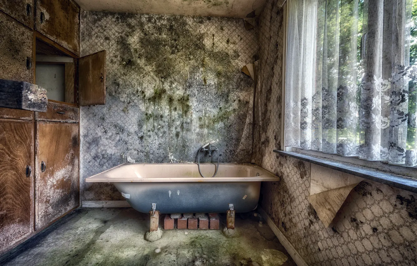Photo wallpaper background, window, bath