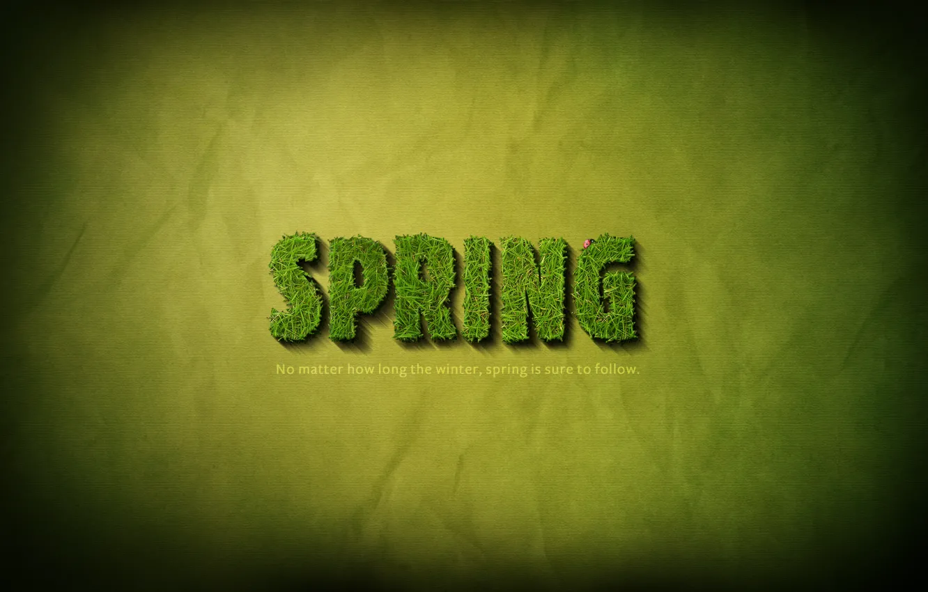 Photo wallpaper grass, the inscription, spring, grass, words, the phrase, 1920x1200, words
