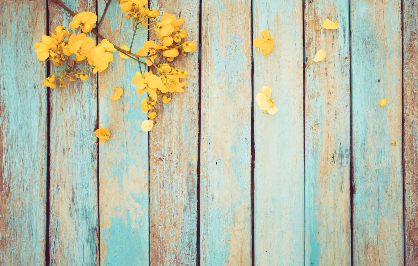 Photo wallpaper flowers, spring, yellow, vintage, yellow, wood, flowers, spring