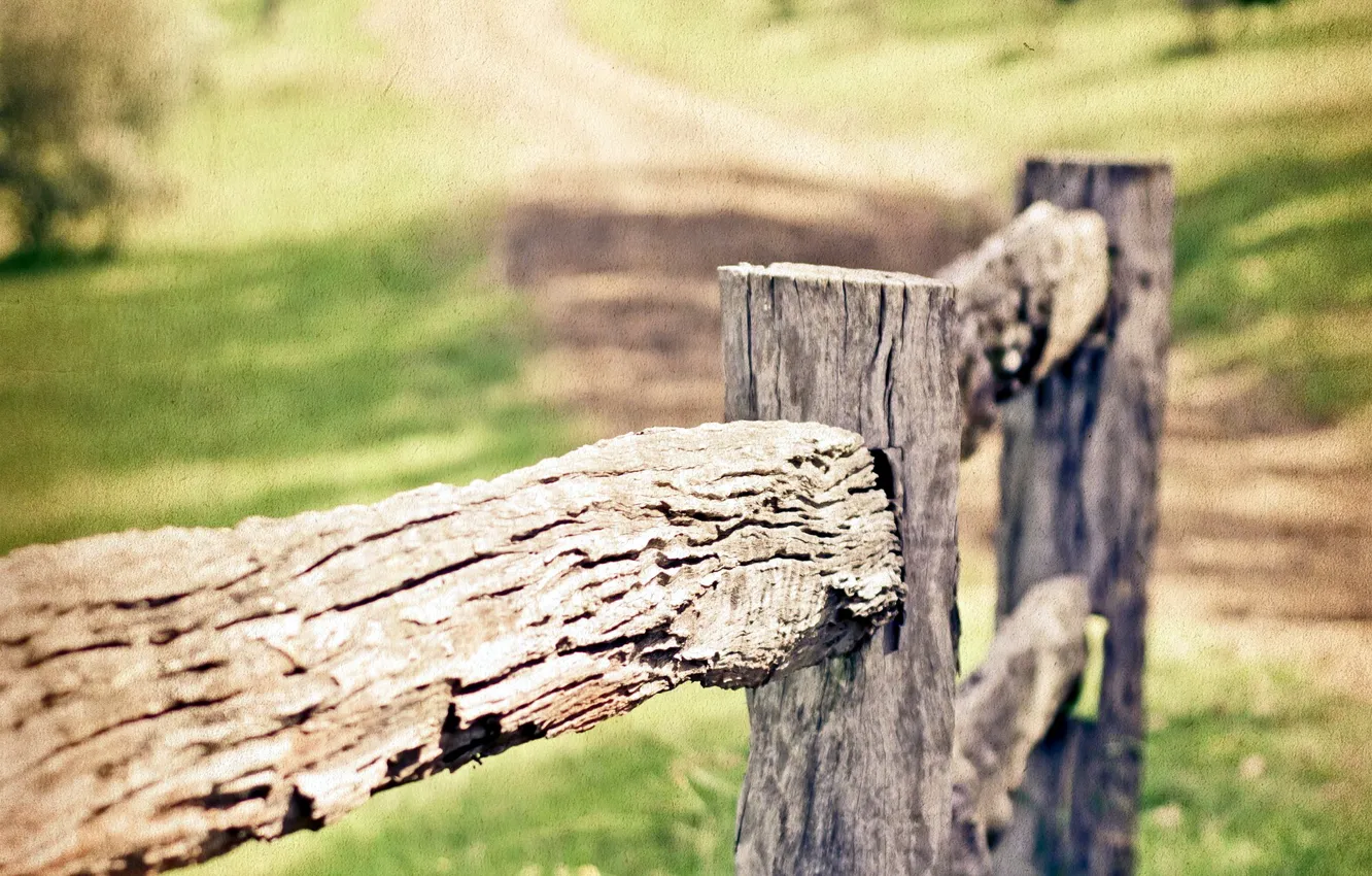 Photo wallpaper macro, style, the fence