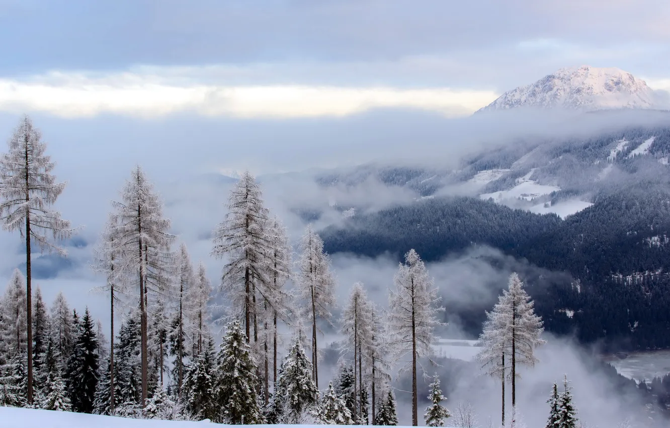 Photo wallpaper the sky, landscape, mountains