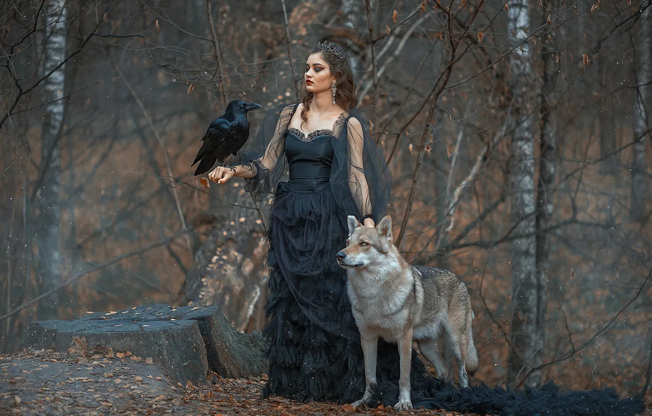 Photo wallpaper forest, girl, pose, bird, wolf, fantasy, black dress, Raven