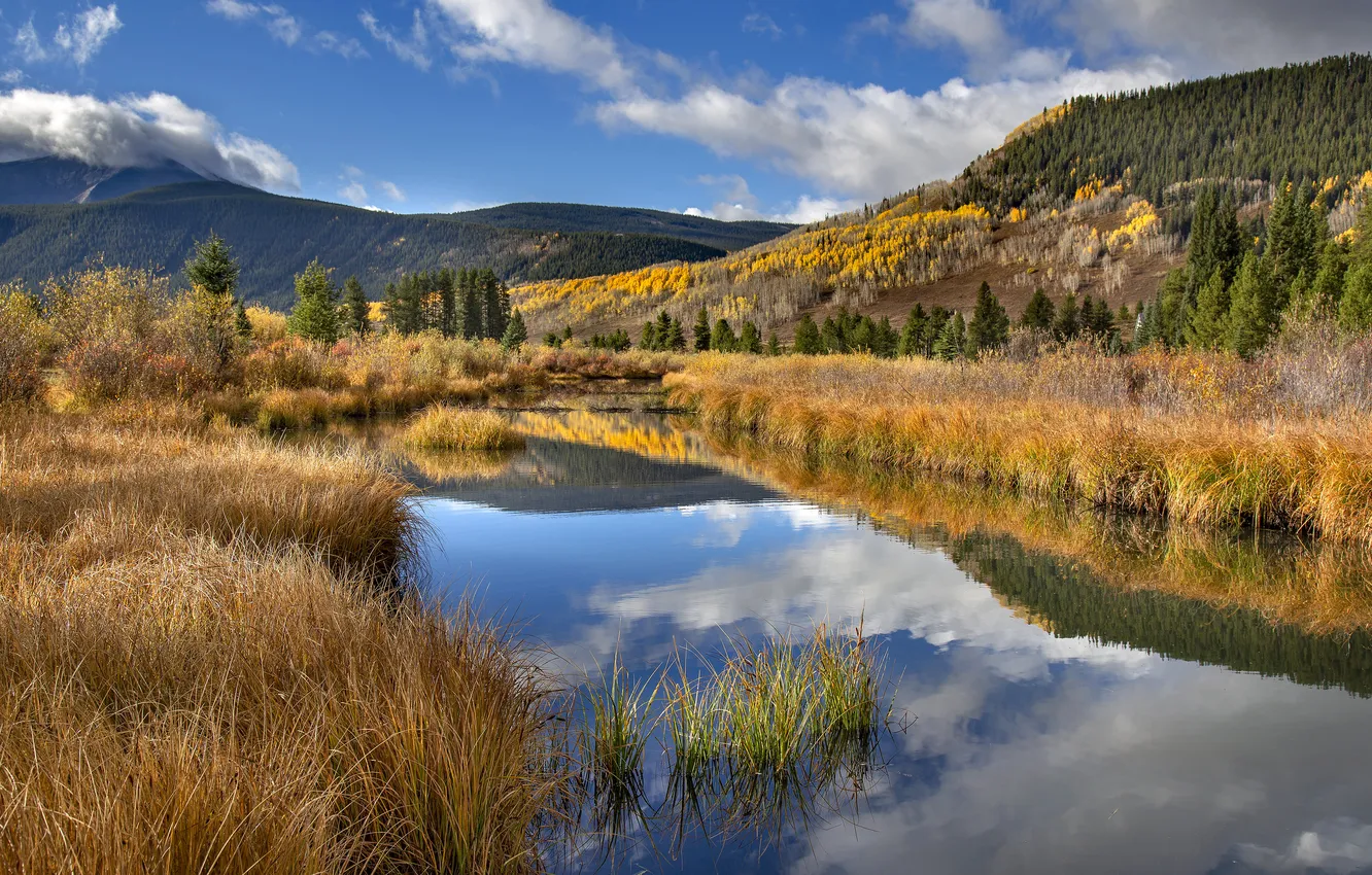 Photo wallpaper autumn, forest, the sky, grass, clouds, mountains, lake, reflection