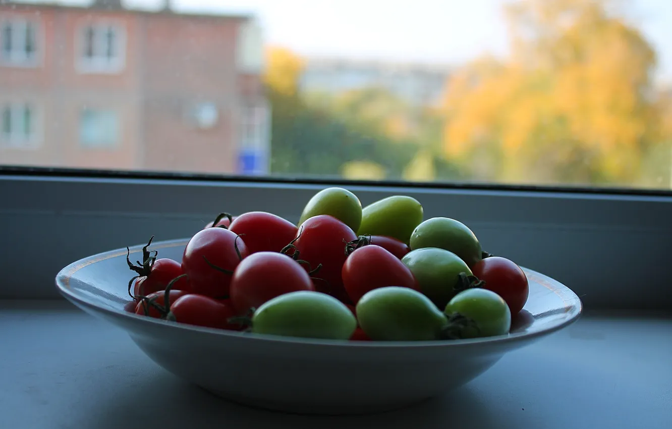 Photo wallpaper autumn, green, plate, sill, tomatoes, ripe