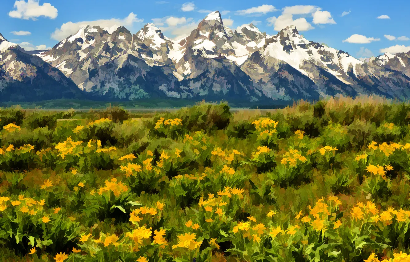 Photo wallpaper the sky, landscape, flowers, mountains, nature, meadow