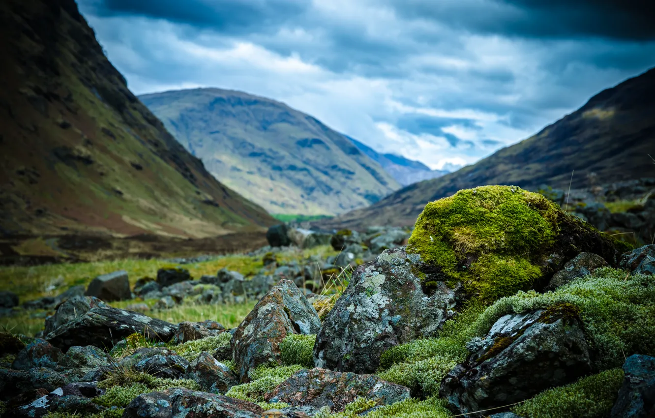 Photo wallpaper mountains, stones, moss, Scotland, Scotland