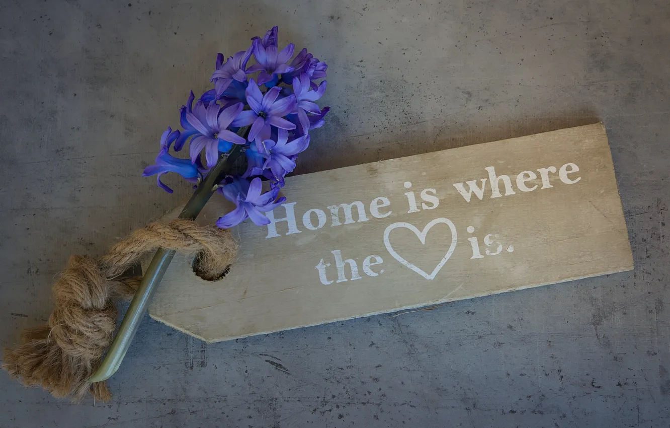 Photo wallpaper love, flower, heart, wood, note, board, home, blue flower