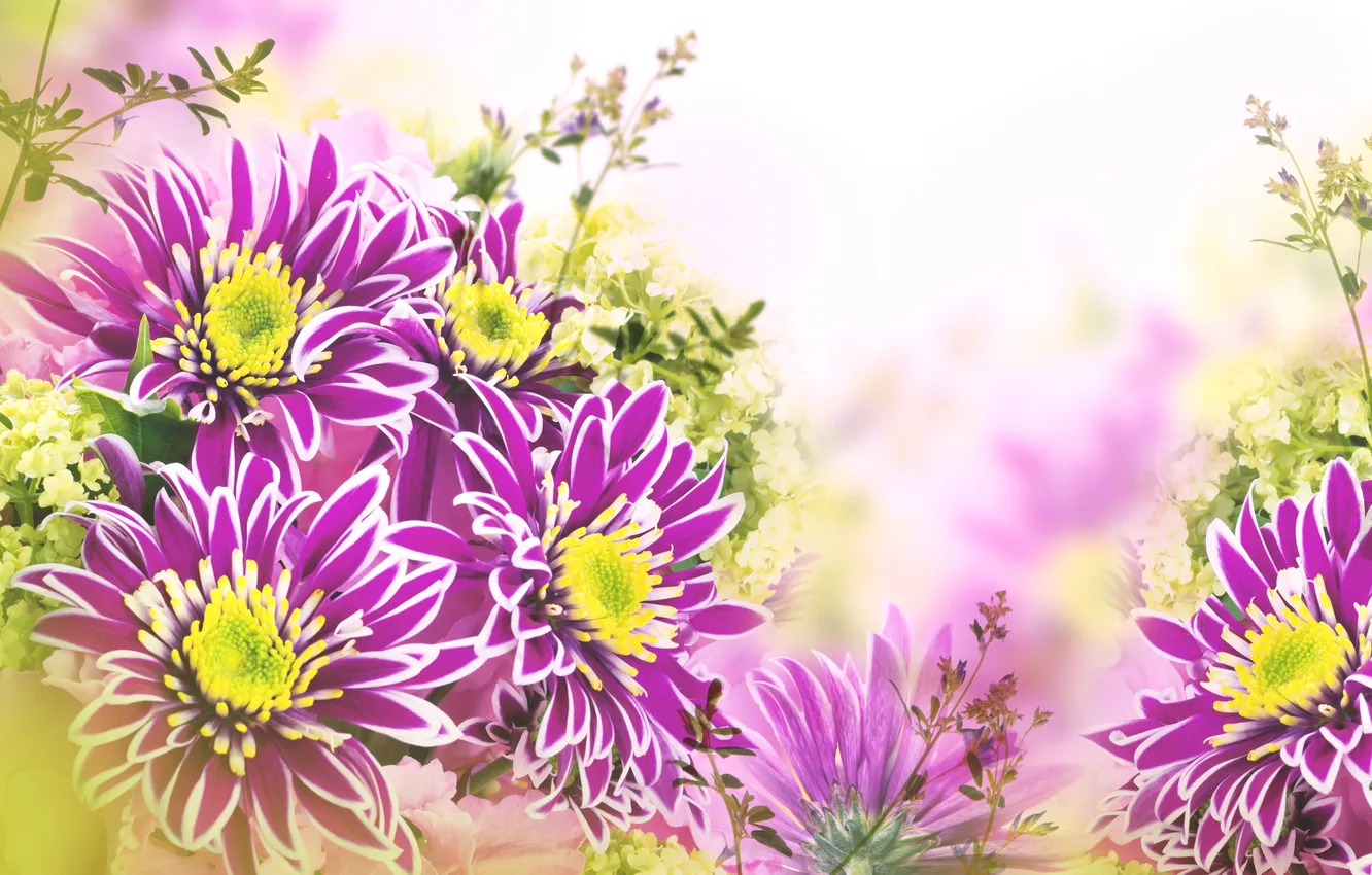 Photo wallpaper leaves, flowers, chrysanthemum