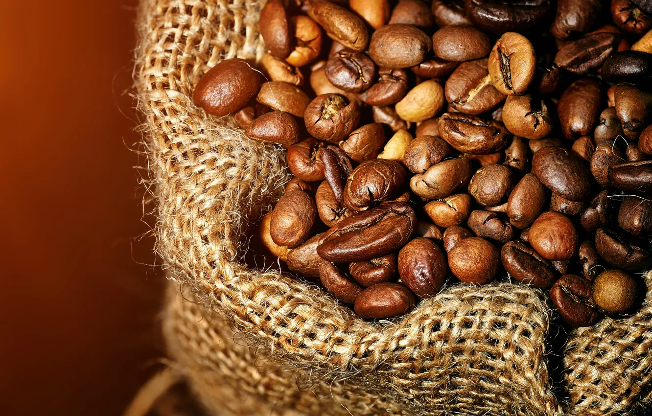 Photo wallpaper coffee, grain, burlap, closeup