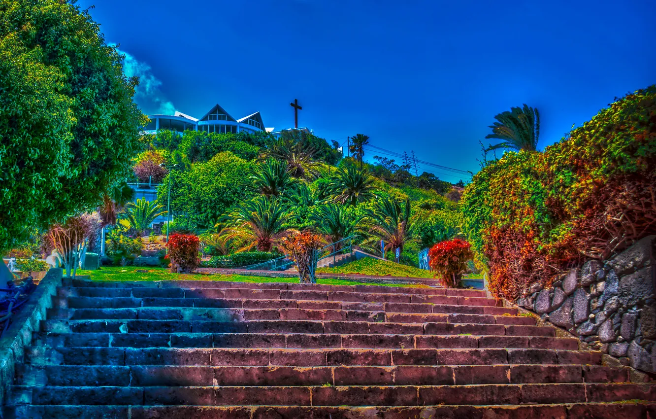 Photo wallpaper Park, treatment, ladder, Spain, Las Palmas de Gran Canaria