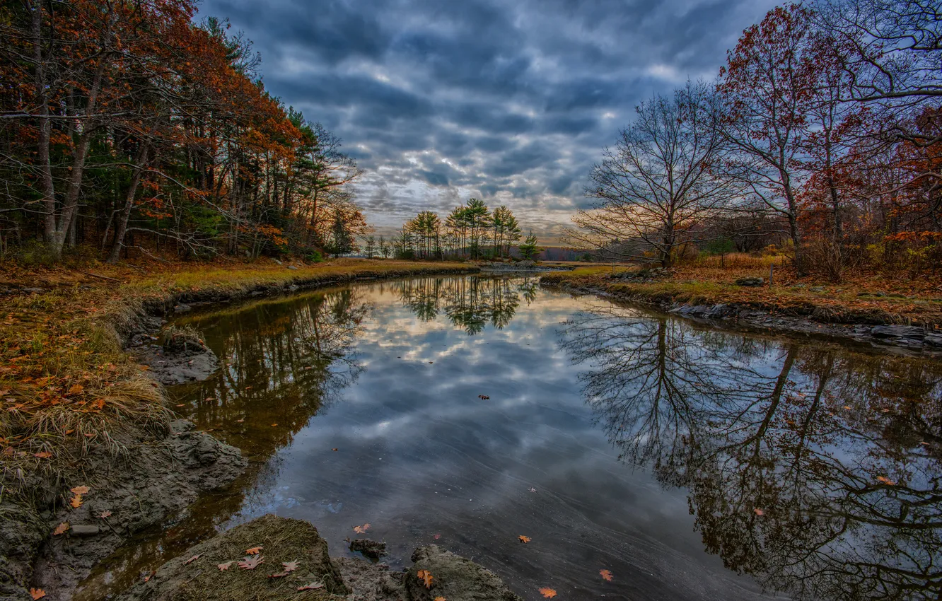 Photo wallpaper autumn, forest, the sky, clouds, trees, river