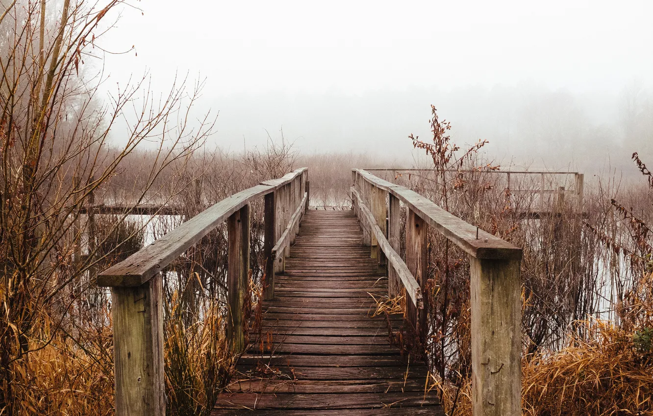 Photo wallpaper bridge, nature, river
