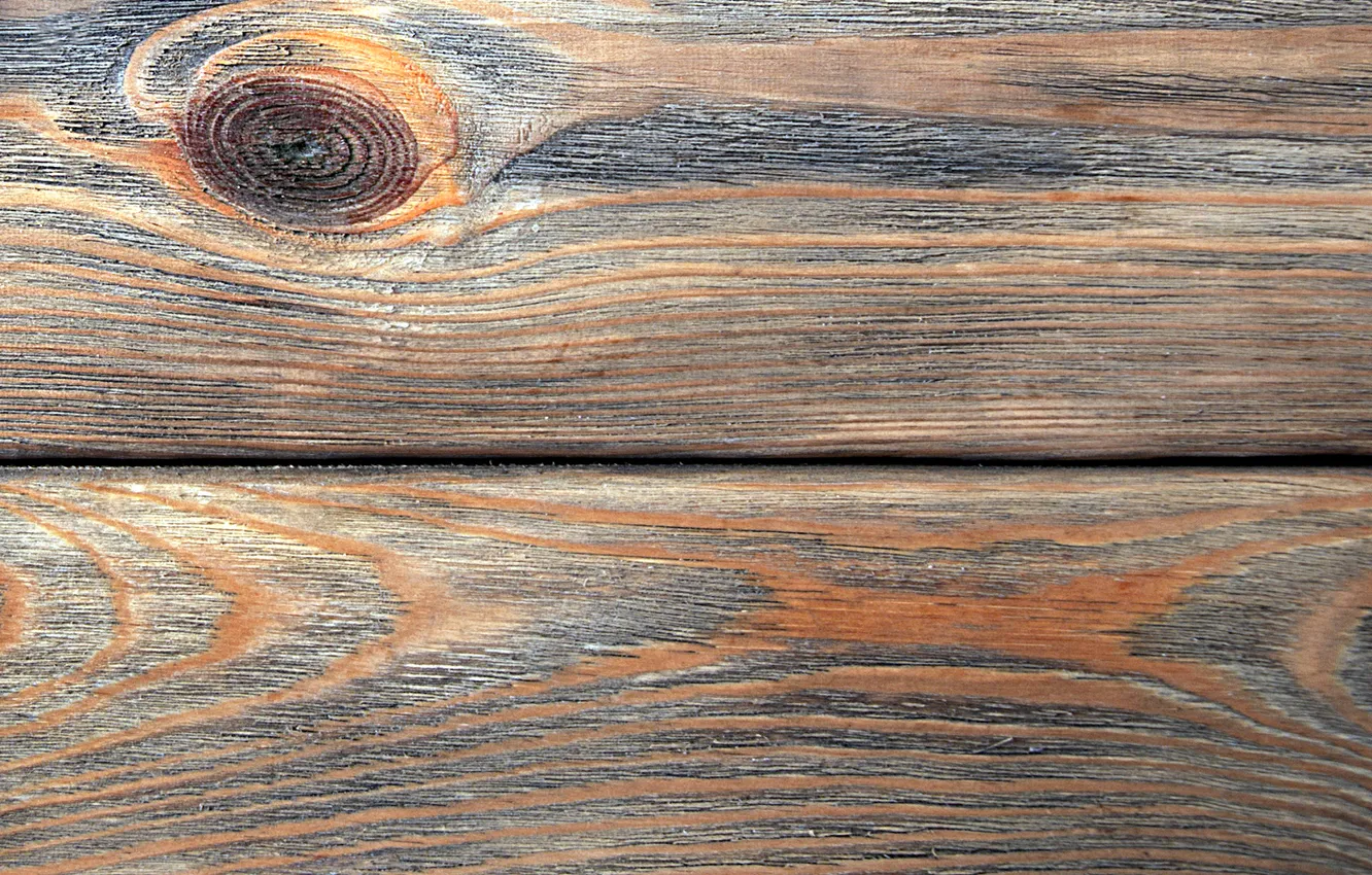 Photo wallpaper color, wood, texture