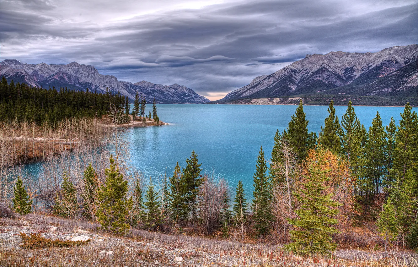 Photo wallpaper trees, landscape, mountains, clouds, nature, lake, Canada, Abraham Lake