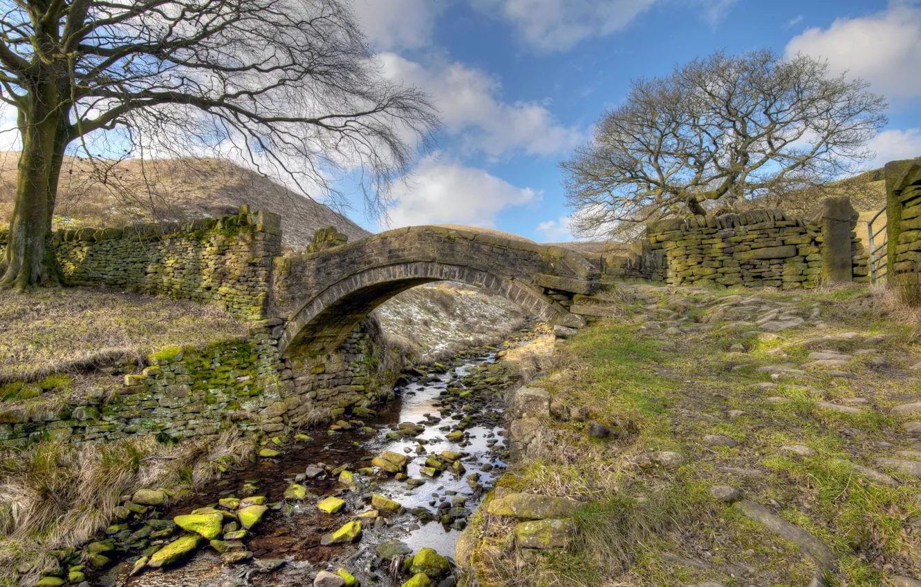 Photo wallpaper field, landscape, bridge, river