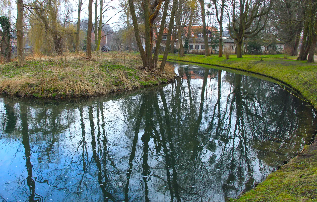 Photo wallpaper river, water, park, pond